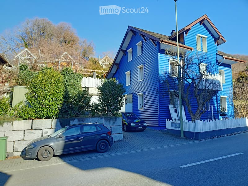 6,5 Zimmer Altbauwohnung mit grosser Terrasse und Grünfläche (4)