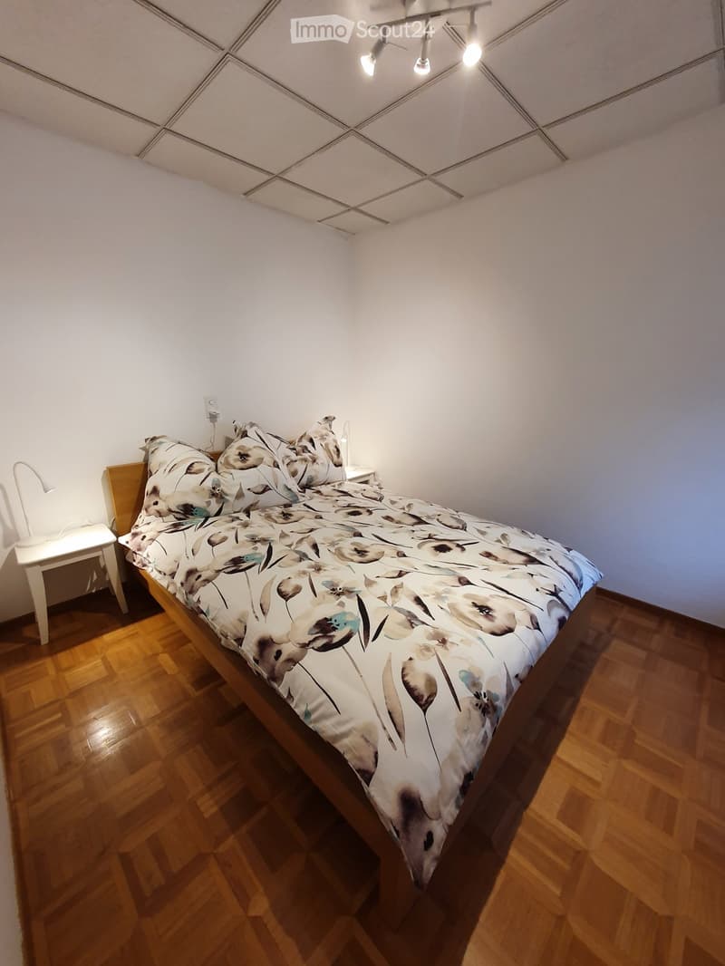 Grazioso, tranquillo e indipendente 2,5 locali. Ammobiliato (3)