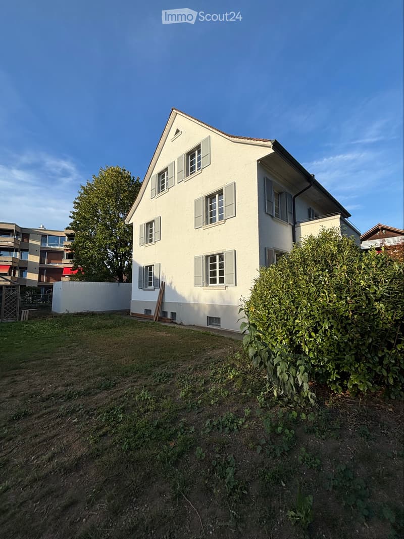 3,5 Zimmerwohnung (2)
