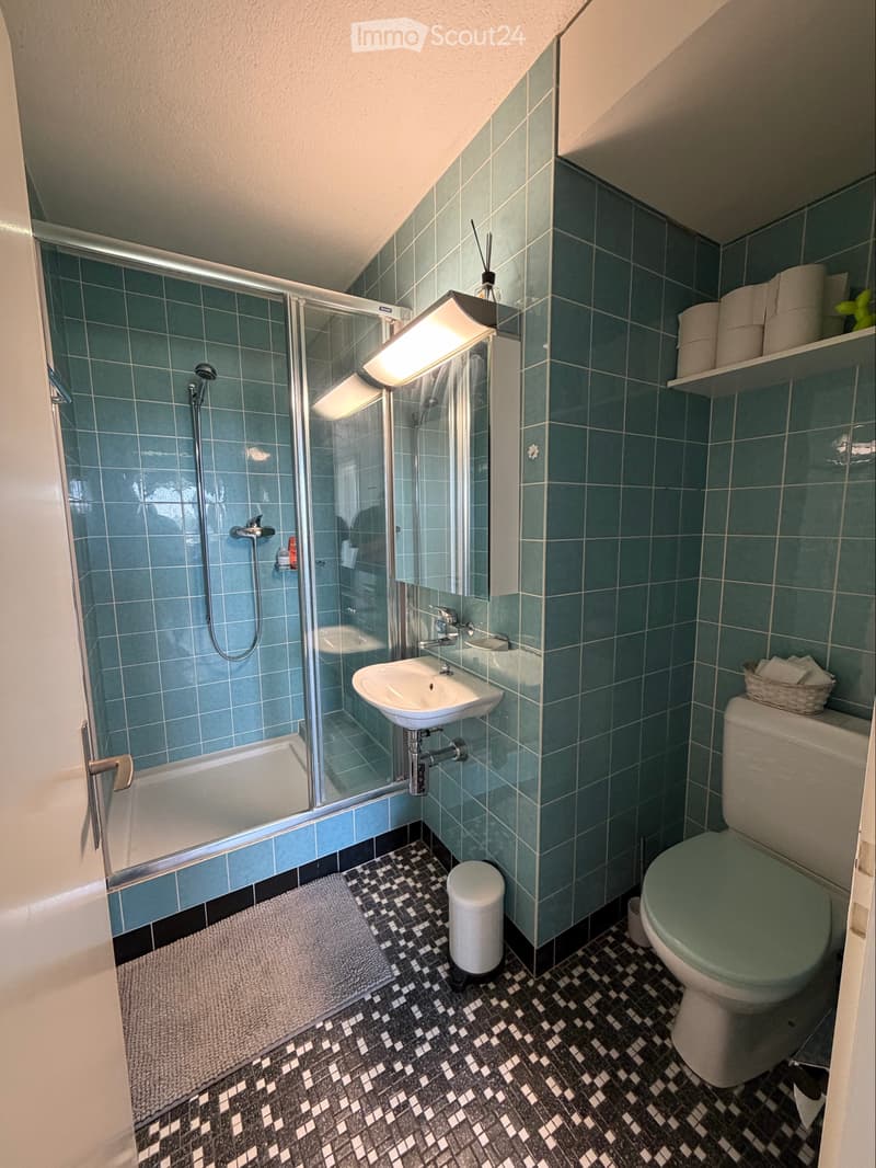 Helle und gemütliche Wohnung in ruhiger Lage (5)