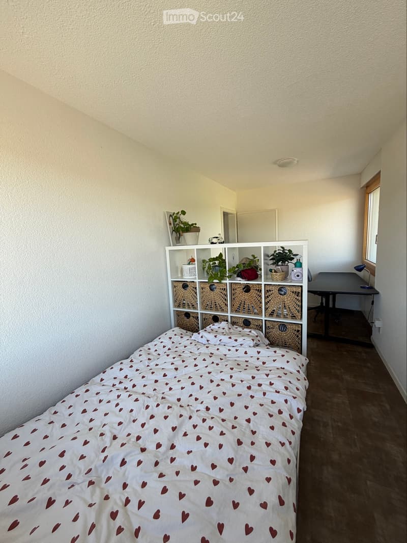 Helle und gemütliche Wohnung in ruhiger Lage (4)