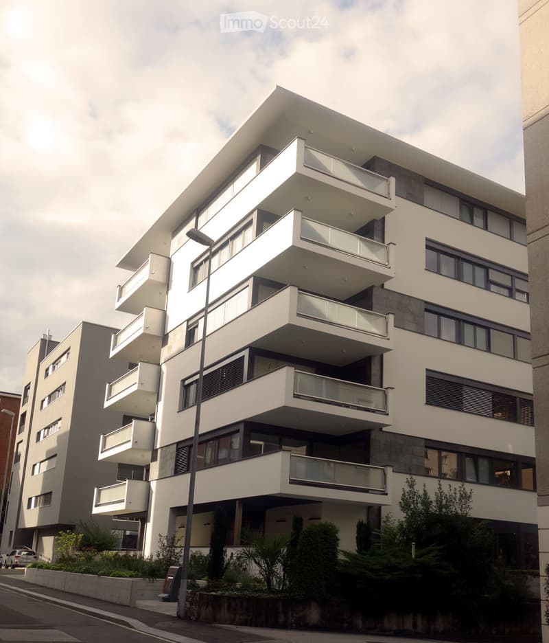 3.5 locali moderno con terrazza e aria condizionata (5)