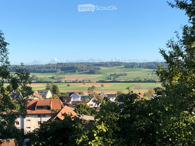 Schöne Attikawohnung über den Dächern von Selzach (10)