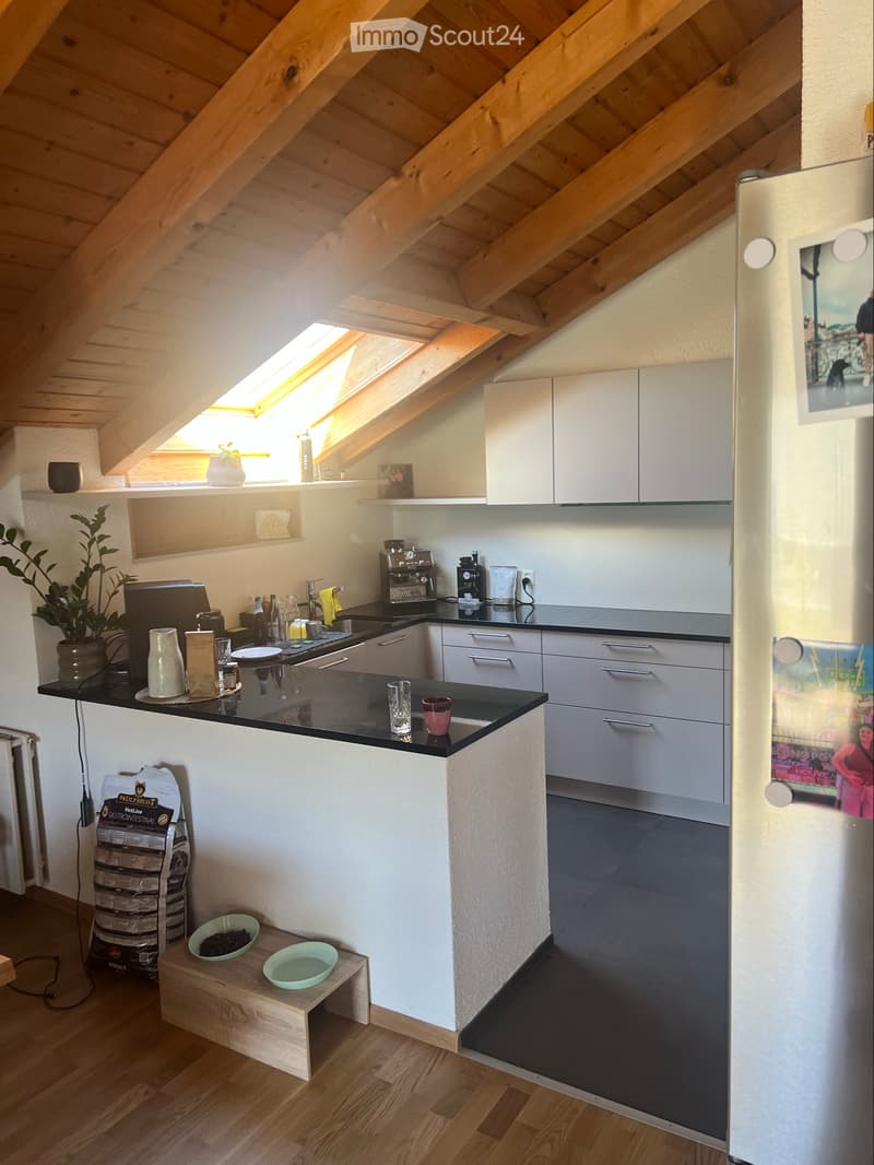 Suchen Nachmieter für 4.5 Zimmer Wohnung in Therwil (3)