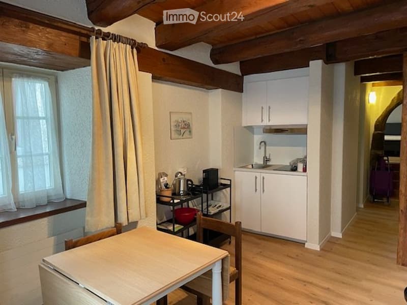 Voll möblierte 2-Zimmer Wohnung im Zentrum von Baden (2)