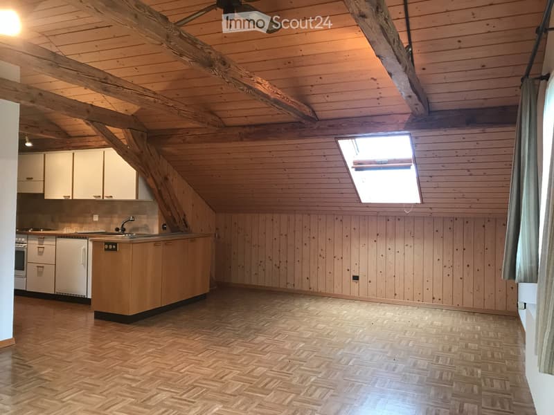 Gepflegte 2 Zimmer-Dachwohnung (2)