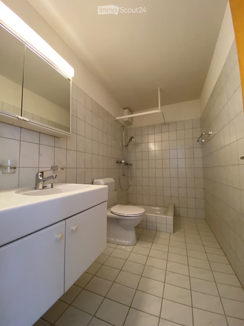 Wohnung für Single nähe Aarau (5)