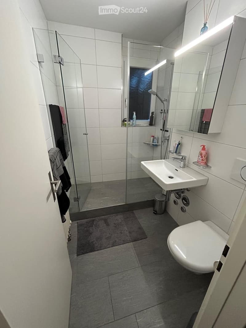 2,5-Zimmer-Wohnung (54 m²) mit Parkplatz Frenkendorf (3)