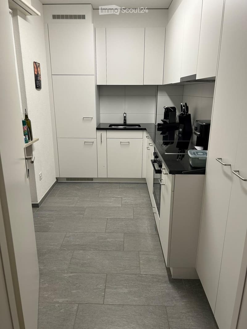 2,5-Zimmer-Wohnung (54 m²) mit Parkplatz Frenkendorf (4)