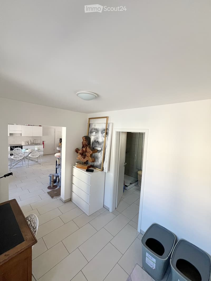 Riva San Vitale - Affittasi bilocale arredato (3)