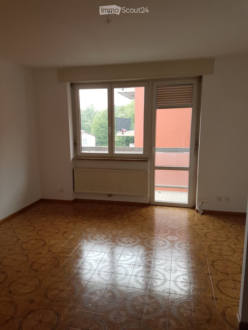 Affitto Immobili Vacallo -  Diverse Metrature (3 e 4 Locali) (3)