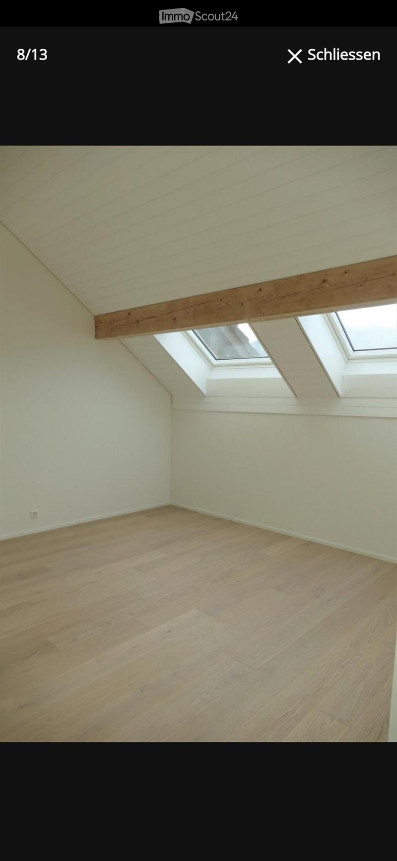Moderne 4.5 Zimmer Dachwohnung (5)