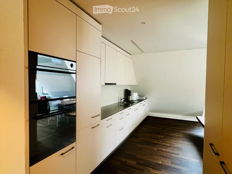 Neuwertige 3.5-Zimmer-Wohnung in Küssnacht am Rigi (6)