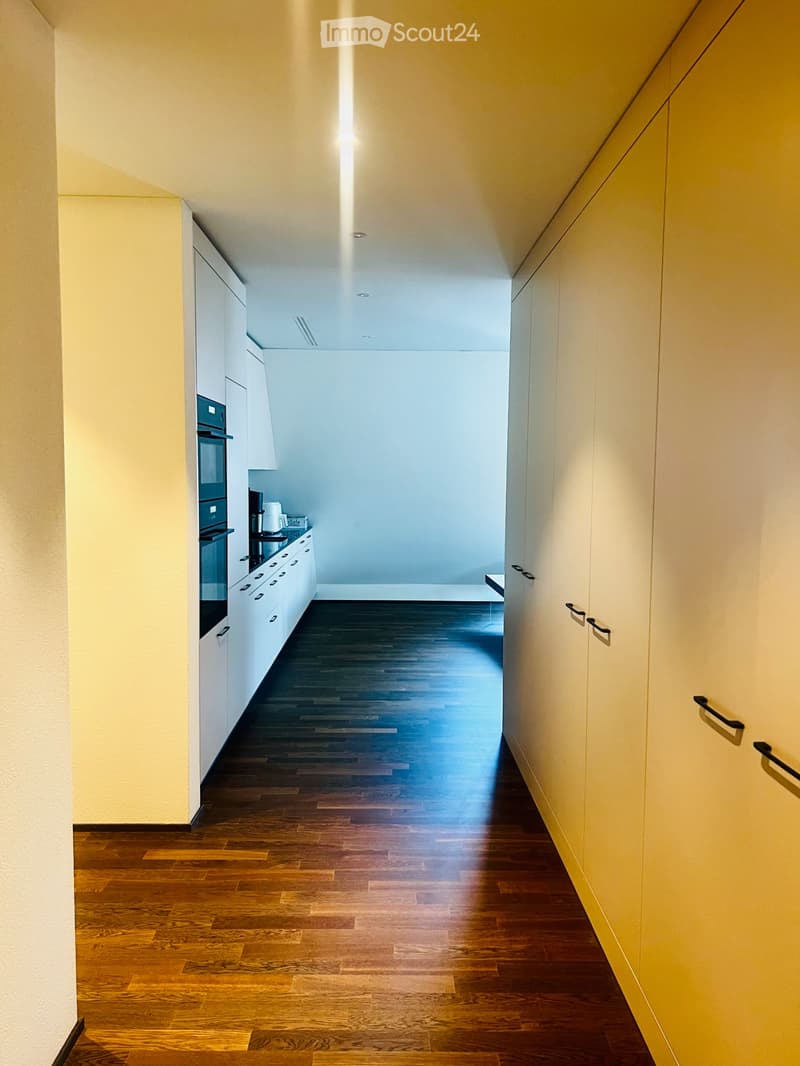 Neuwertige 3.5-Zimmer-Wohnung in Küssnacht am Rigi (5)