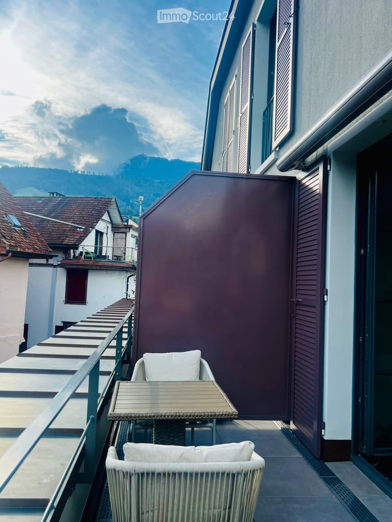 Neuwertige 3.5-Zimmer-Wohnung in Küssnacht am Rigi (3)