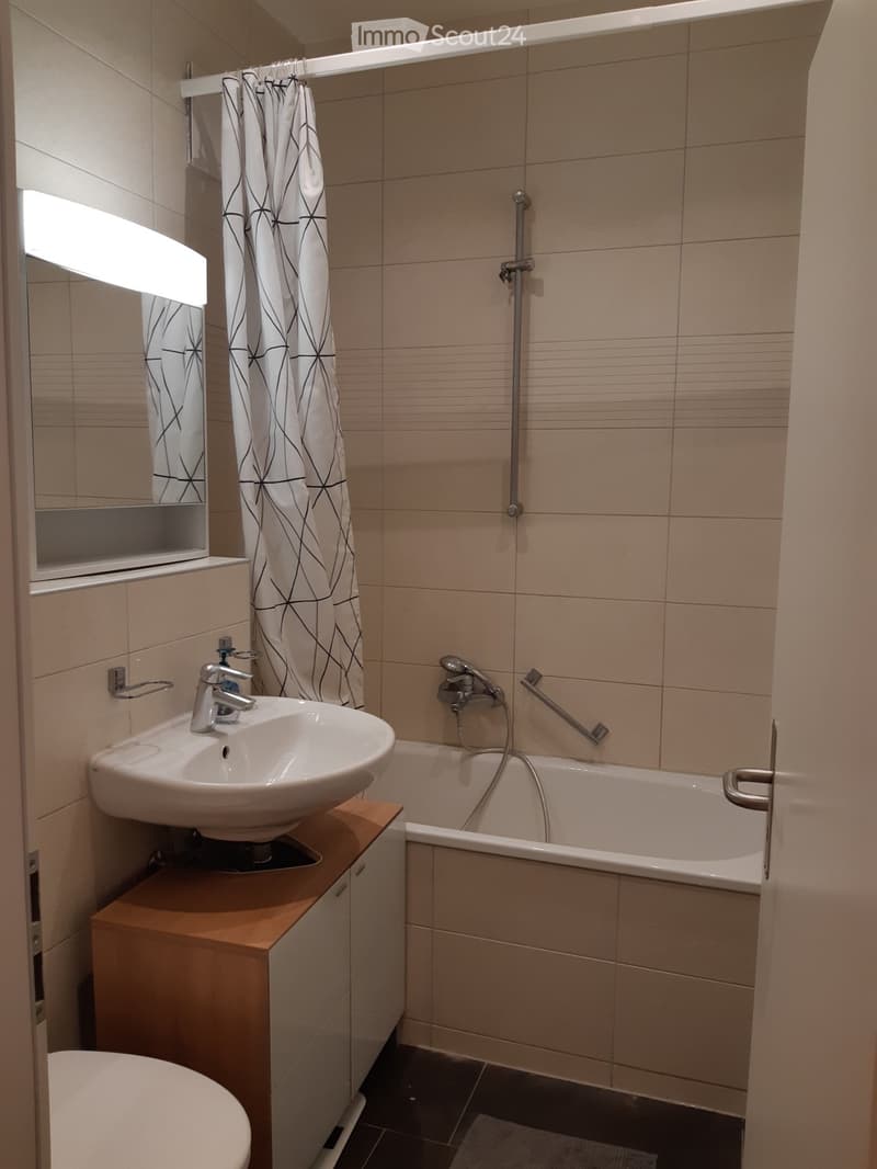 Rent a 2 ½ rooms apartment in Zürich Wiedikon (4)