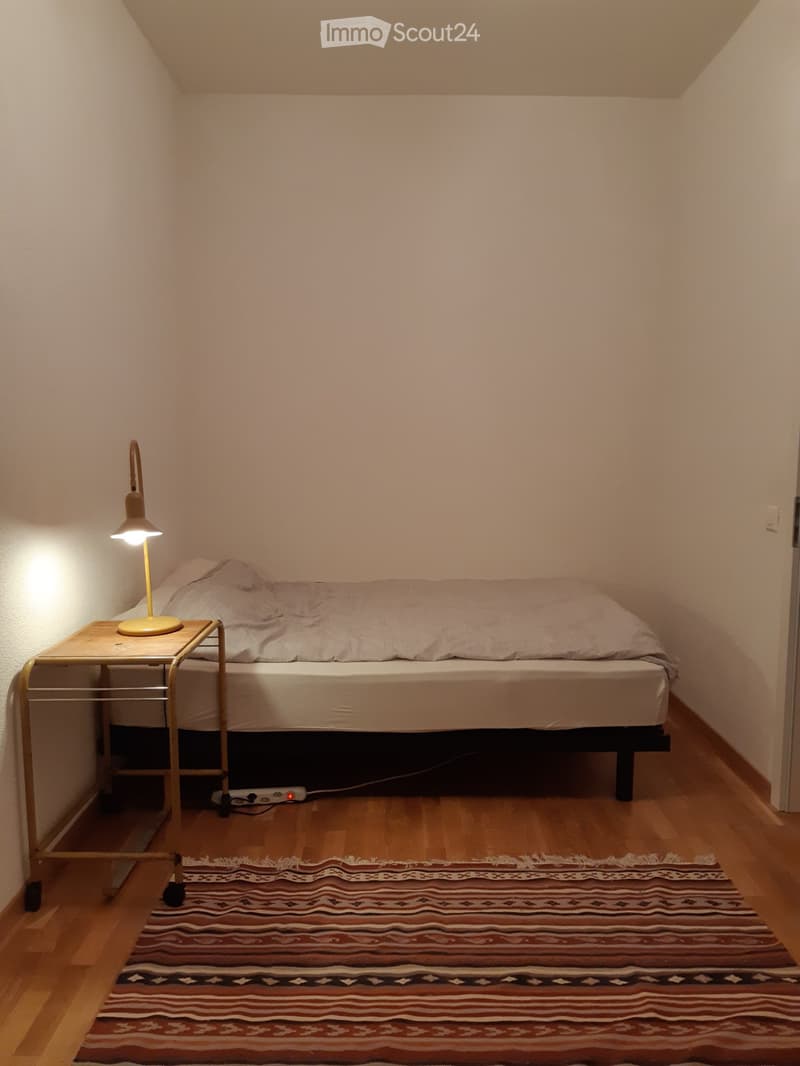Rent a 2 ½ rooms apartment in Zürich Wiedikon (3)