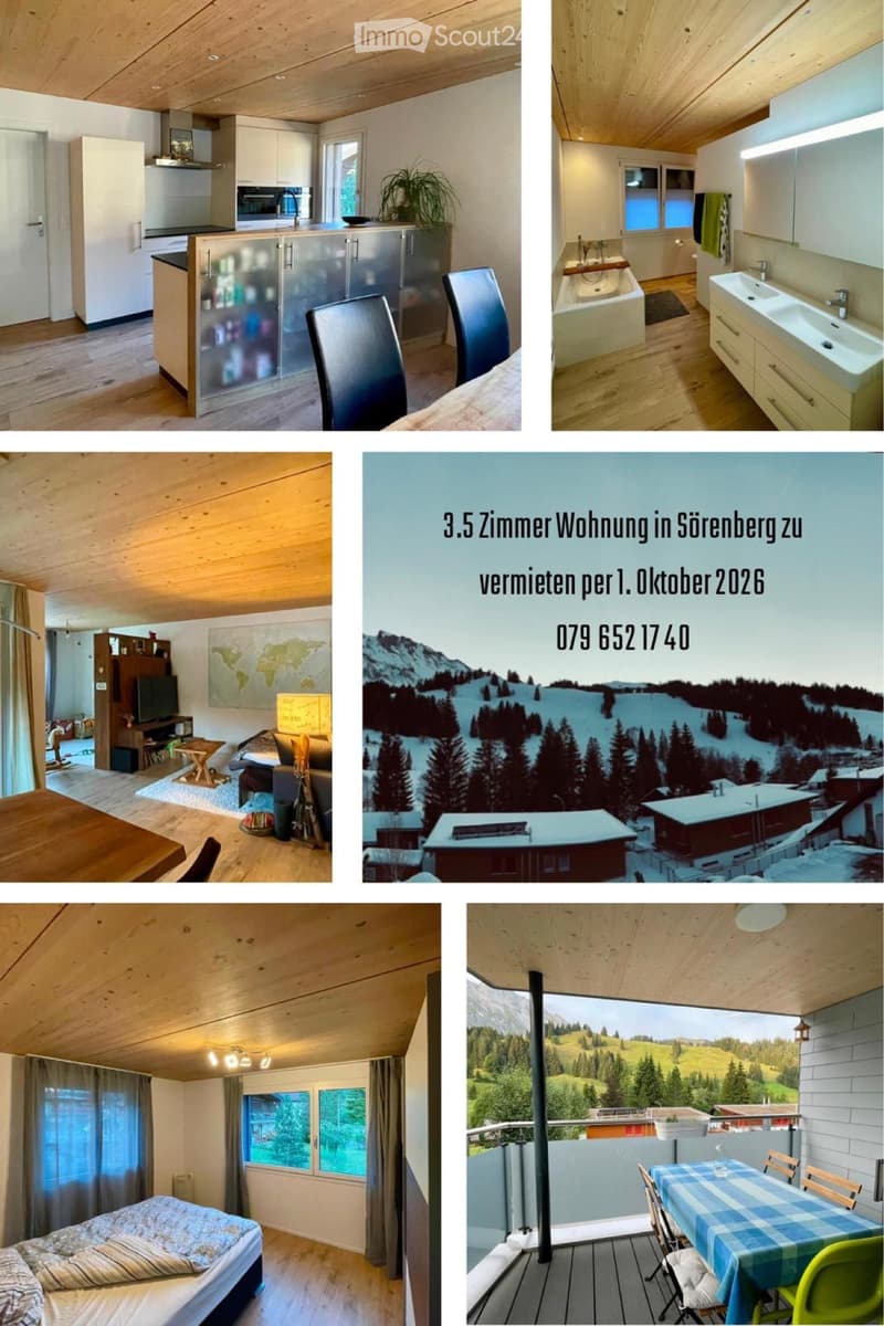 Schöne 3 1/2 Zimmer Wohnung (1)
