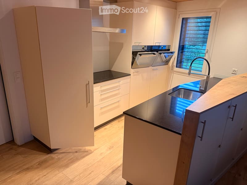 Schöne 3 1/2 Zimmer Wohnung (3)