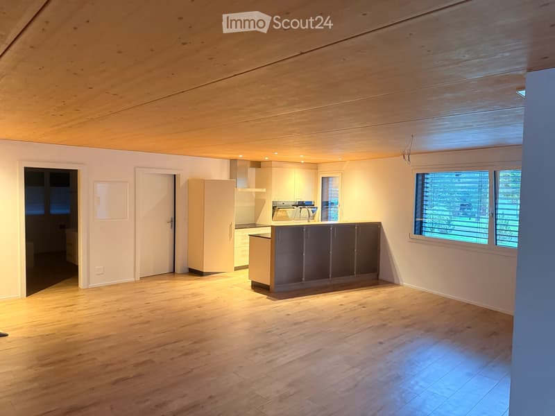 Schöne 3 1/2 Zimmer Wohnung (4)