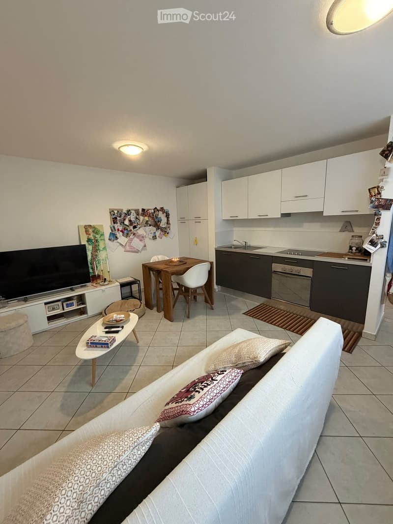 APPARTAMENTO 2.5 - 870 fr./mese incl. spese + elettricità (5)
