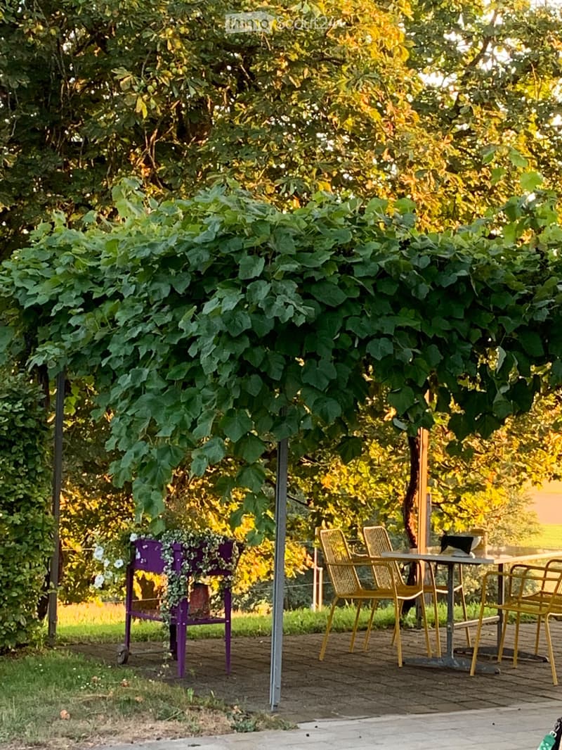 4 Zimmer und Galerie Wohnung an Wald und Wiese (5)