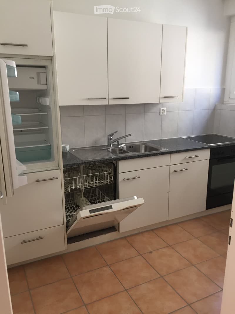 Schöne 4.5 Zimmerwohnung zu Vermieten im Hochpartere (3)