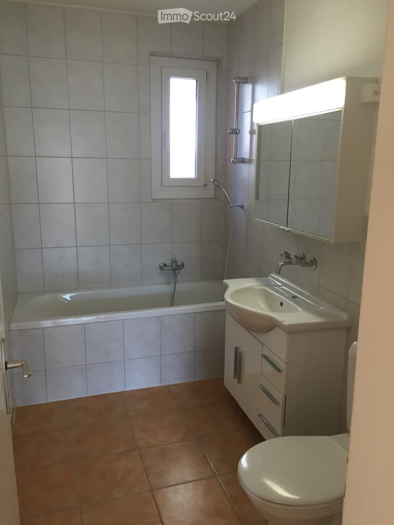 Schöne 4.5 Zimmerwohnung zu Vermieten im Hochpartere (4)