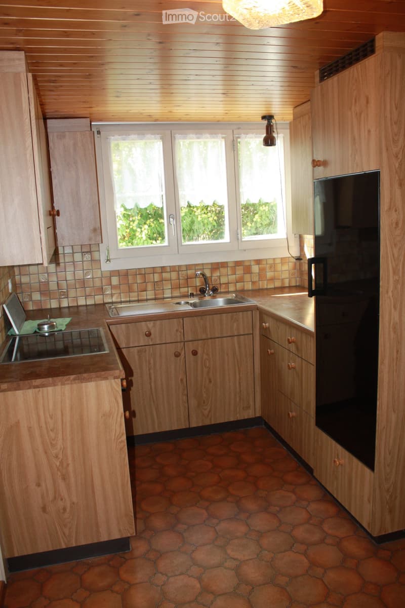 3 Zimmer-Wohnung im EG (3)