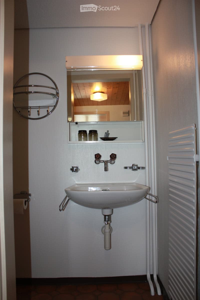 3 Zimmer-Wohnung im EG (5)