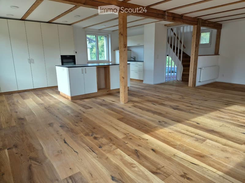 Modern saniertes Einfamilienhaus mit grossem Garten (1)