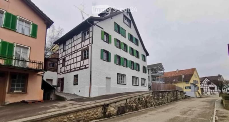 Charmante 2.5-Zi.-EG-Wohnung mit Sichtbalken & neuer Küche (1)