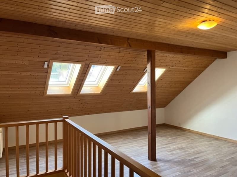 Originelle 2,5-Zimmer- Wohnung - 101 m2 (4)
