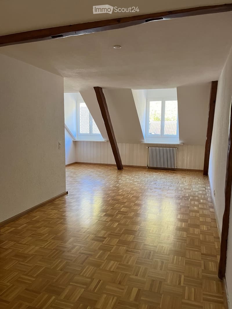Originelle 2,5-Zimmer- Wohnung - 101 m2 (3)