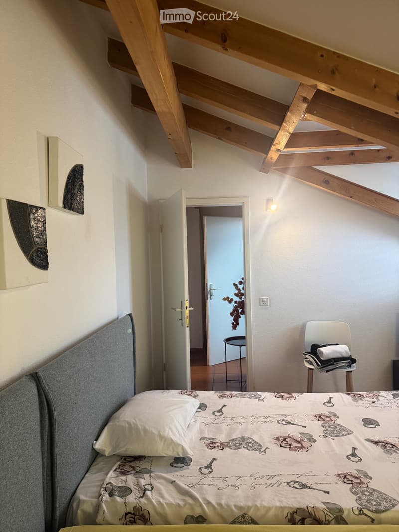 Appartamento Ammobiliato (2)