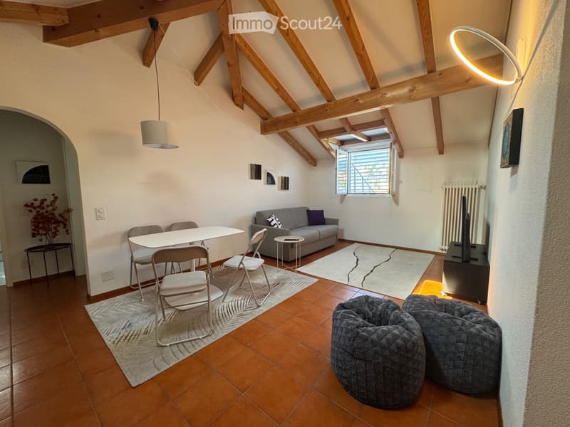 Appartamento Ammobiliato (5)