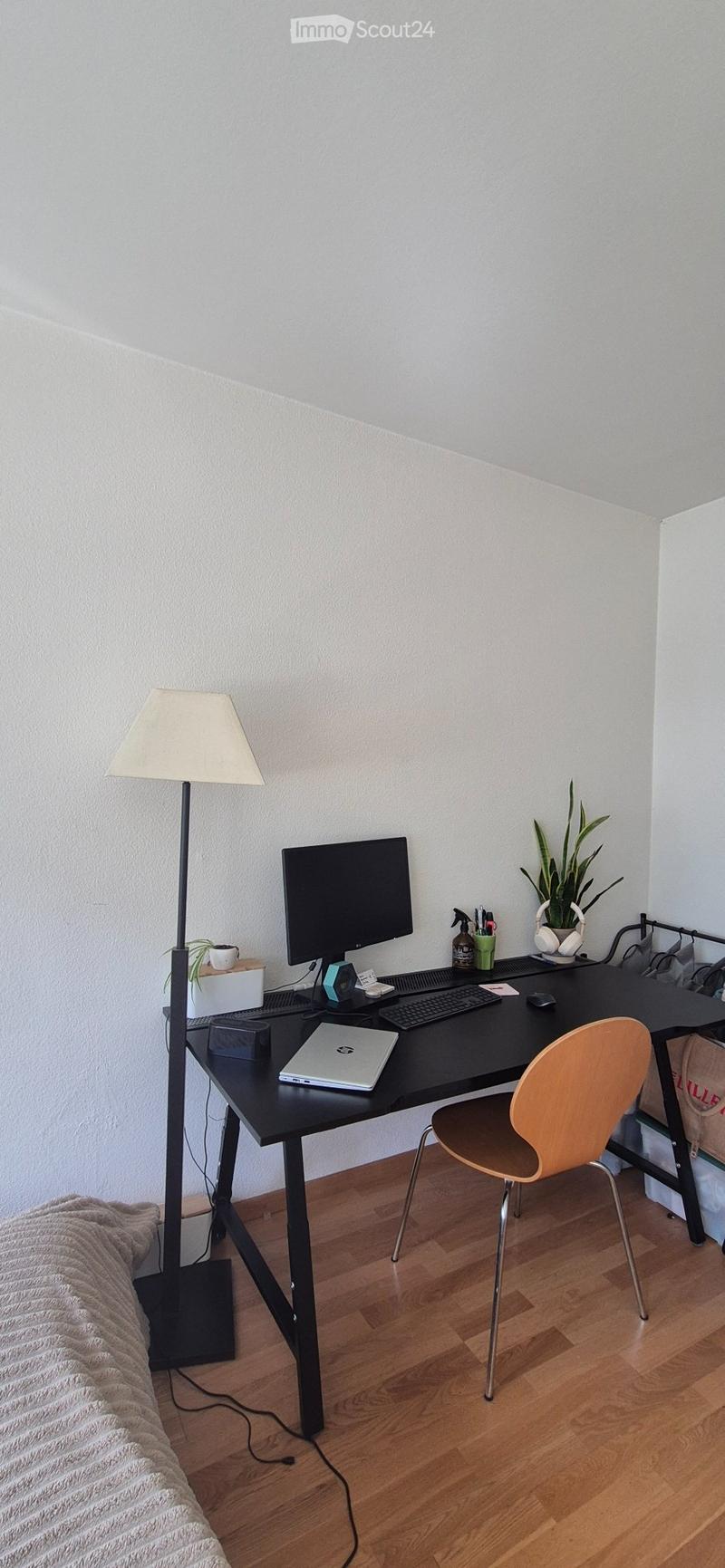 Furnished Room central Zurich (4)