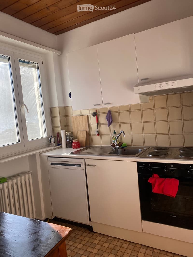 2.5 locali a Lugano con vista mozzafiato sul lago (4)