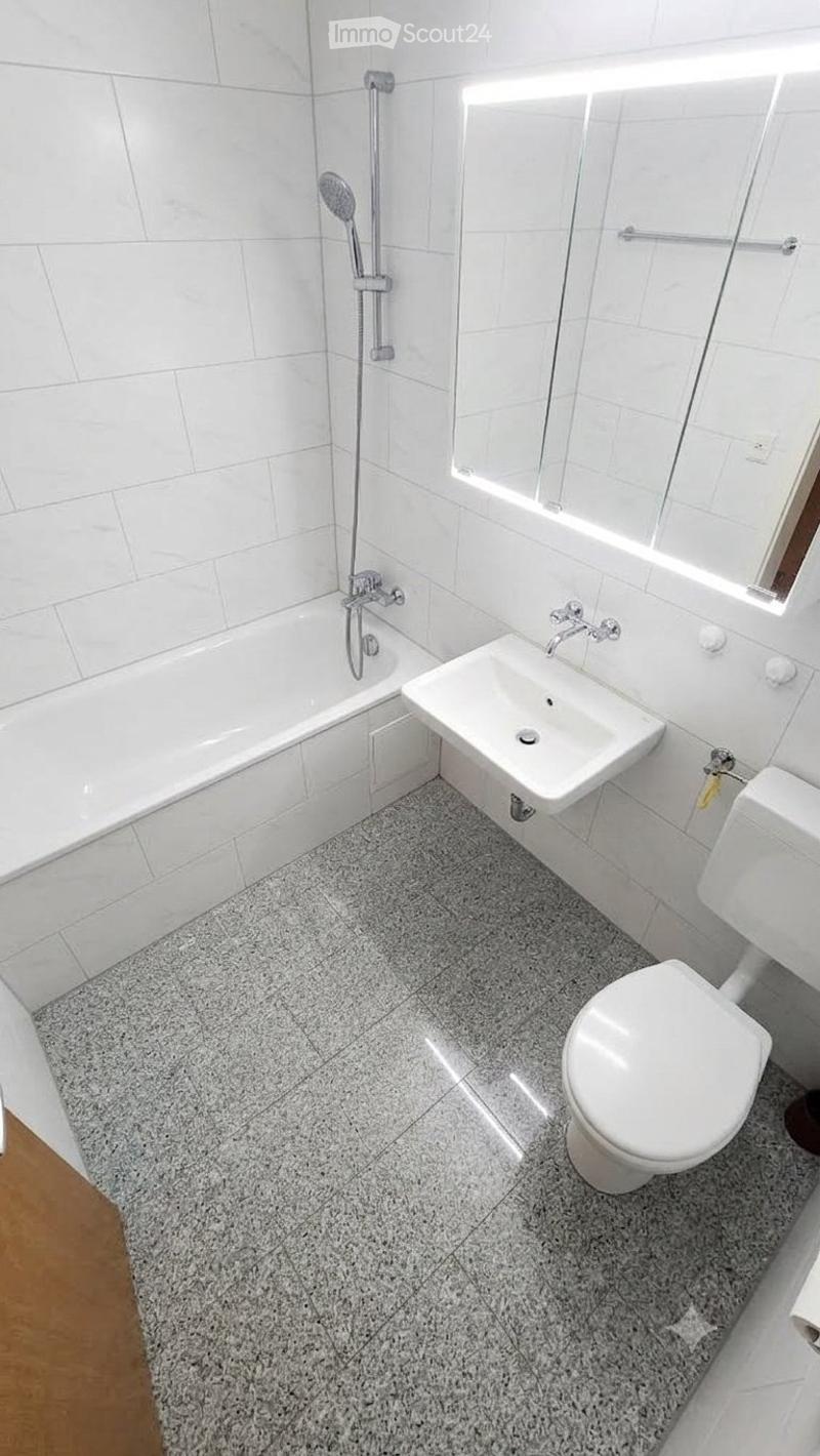 Rent a 3 rooms apartment in Basel (3)