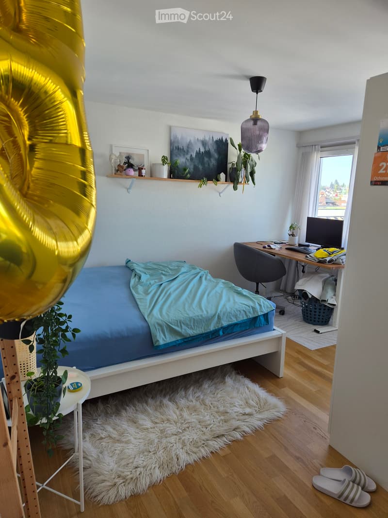 Suche per 1.12 Nachmieter für meine 2.5 Zimmer Wohnung (4)