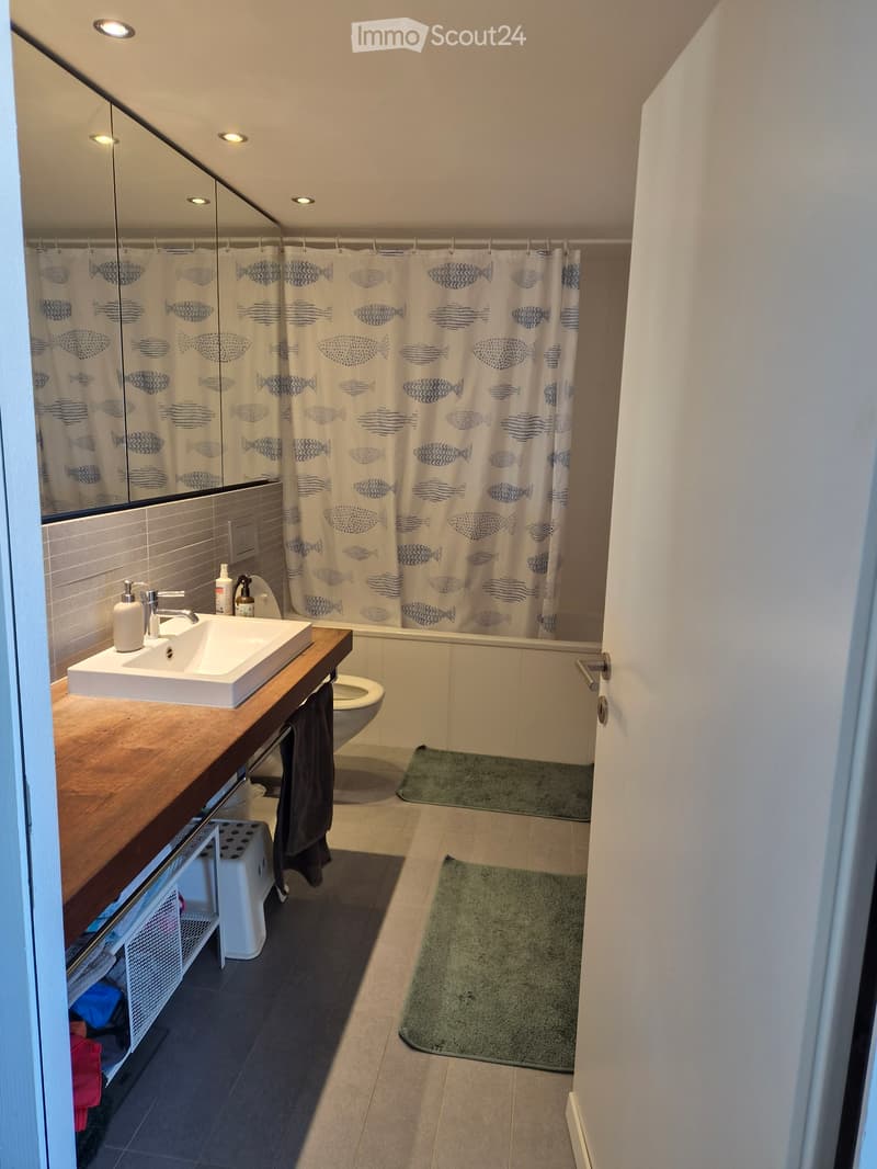 Suche per 1.12 Nachmieter für meine 2.5 Zimmer Wohnung (2)