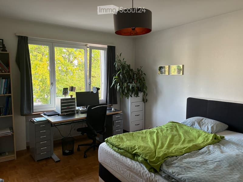 Mitbewohner:in gesucht  WG-Zimmer in Bern (3)