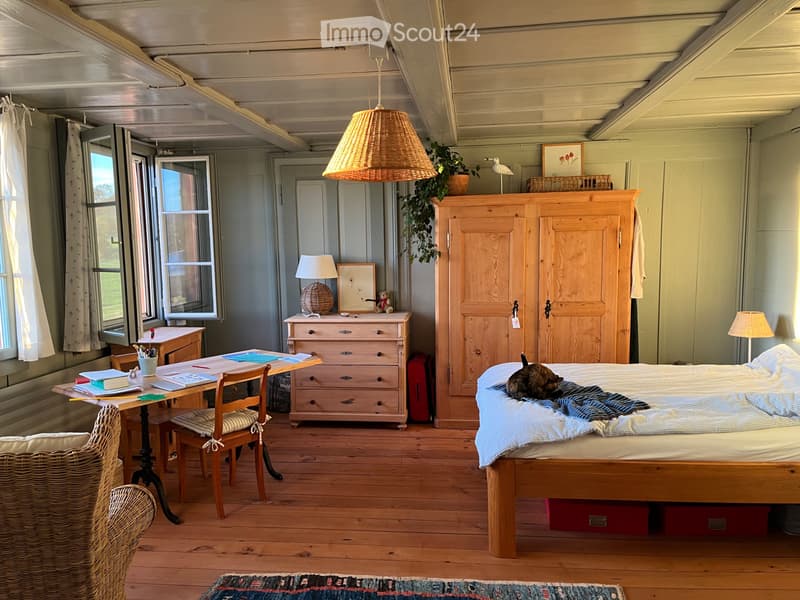 Wunderschöne, grosse zweieinhalb Zimmerwohnung (5)