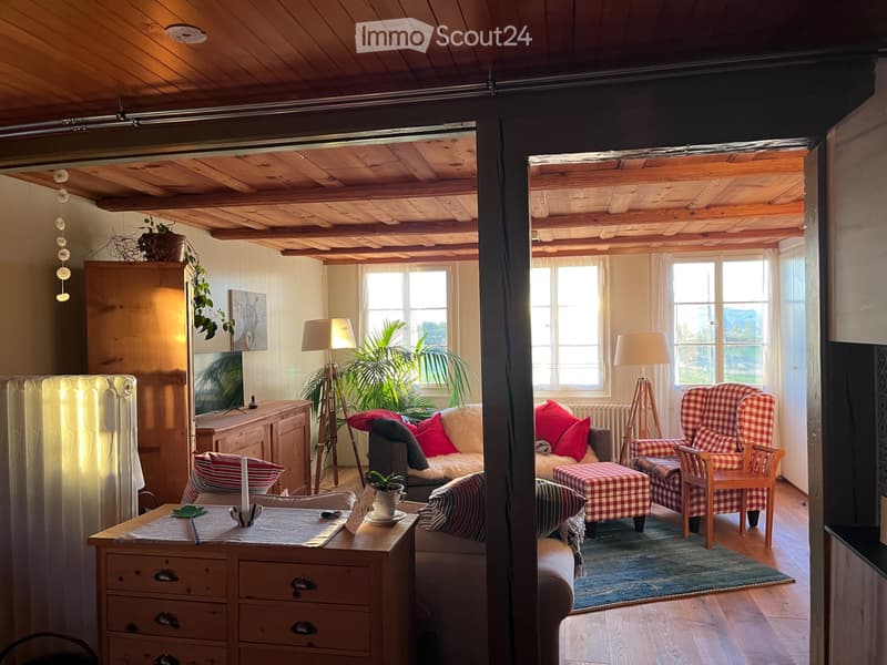 Wunderschöne, grosse zweieinhalb Zimmerwohnung (3)
