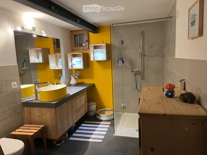 Wunderschöne, grosse zweieinhalb Zimmerwohnung (4)
