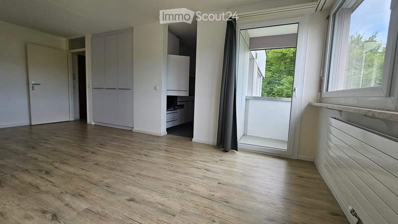 Schöne 1.5 Zimmer Wohnung (2)