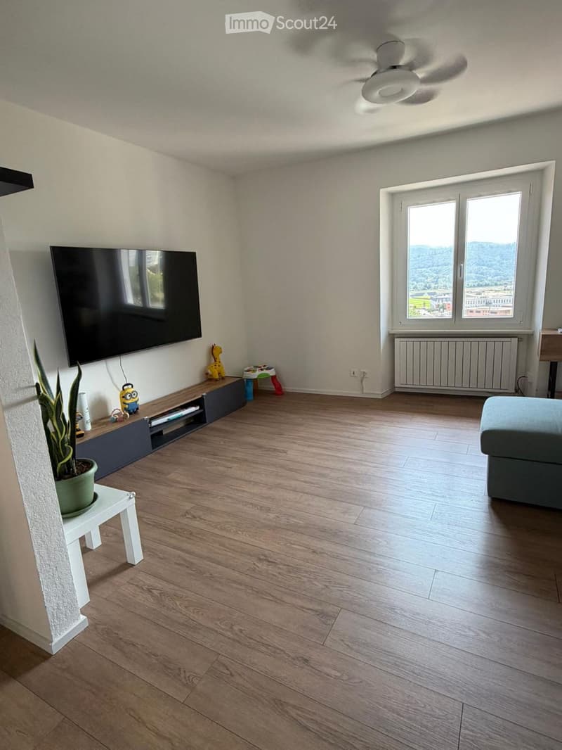Appartamento 3.5 ultimo piano (3)
