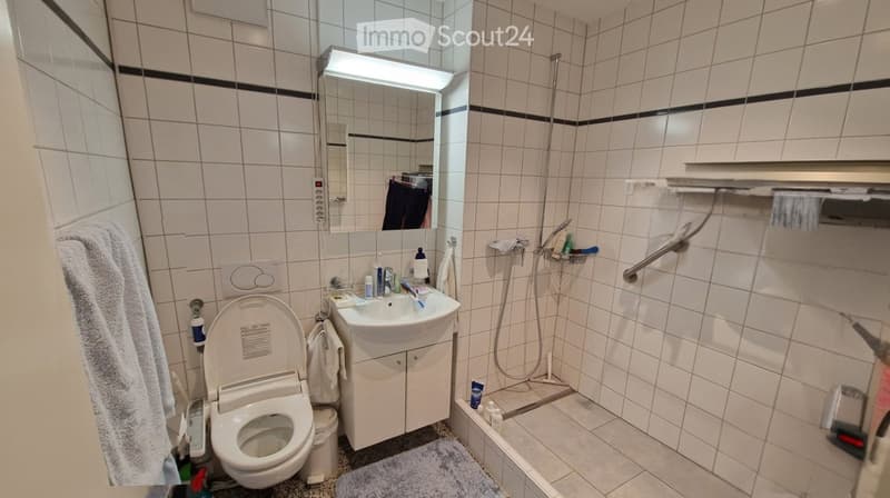 Ruhige schöne Wohnung im Park (5)