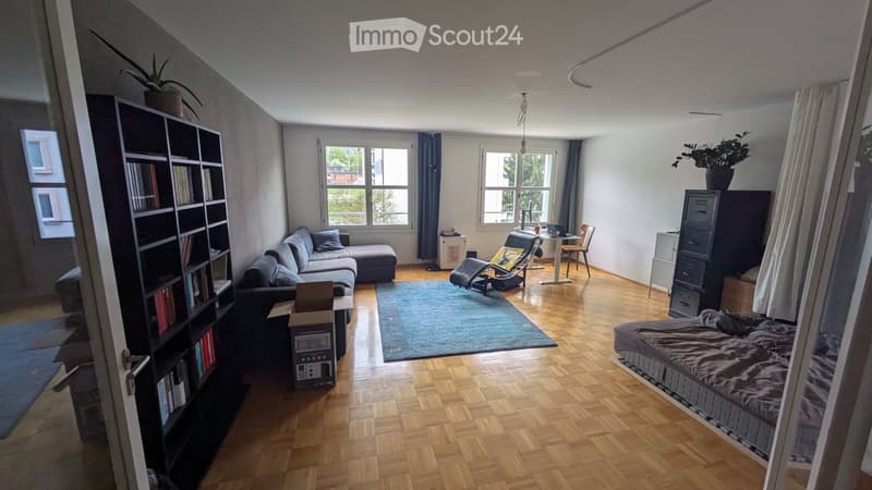Wunderschöne Wohnung in unterschätzter Gegend nahe Wiedikon (1)
