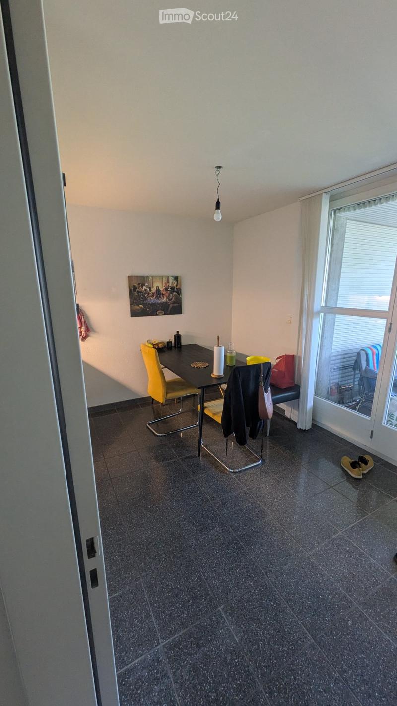 Wunderschöne Wohnung in unterschätzter Gegend nahe Wiedikon (2)